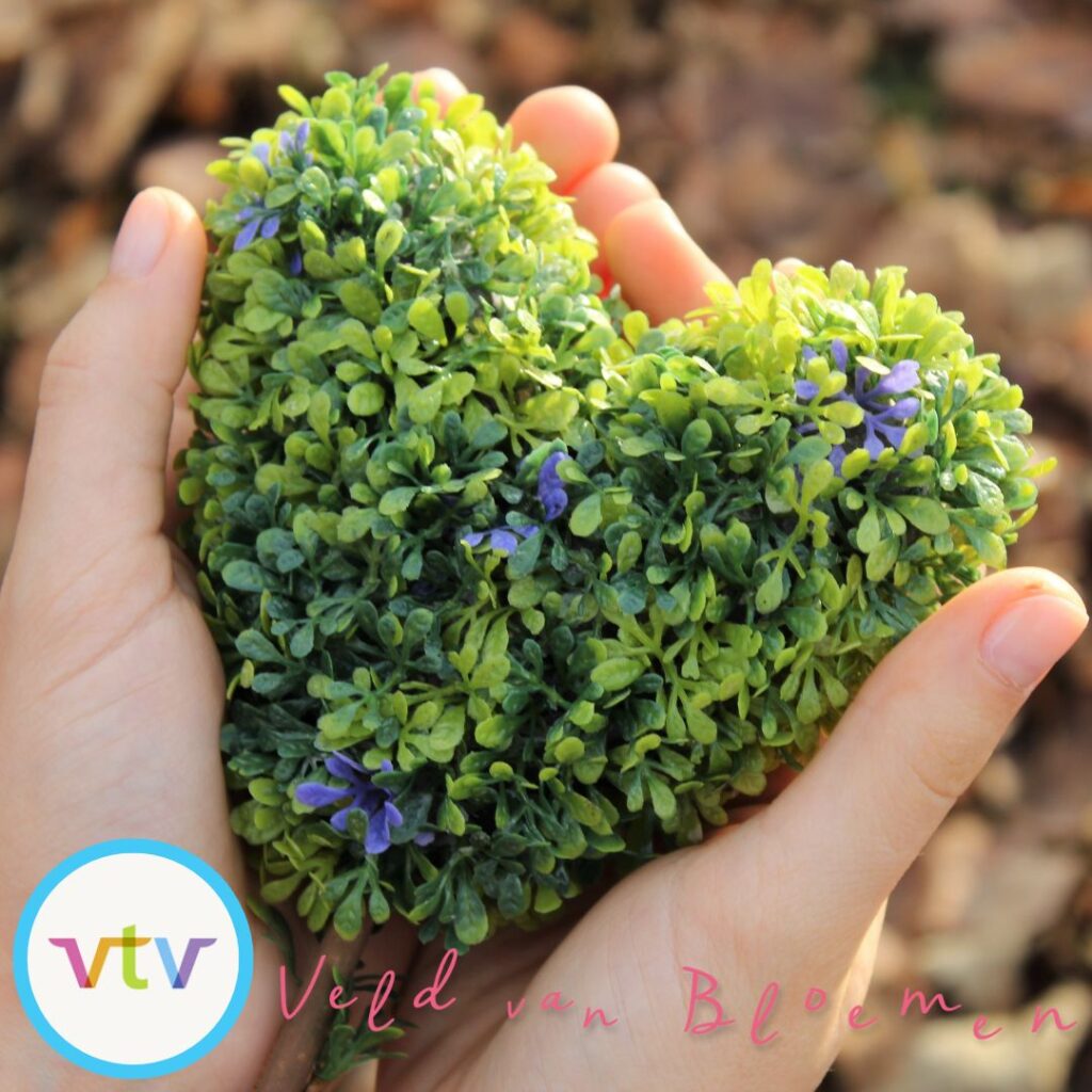 VTV organiseert middag voor Haagse mantelzorgers tijdens driedaagse