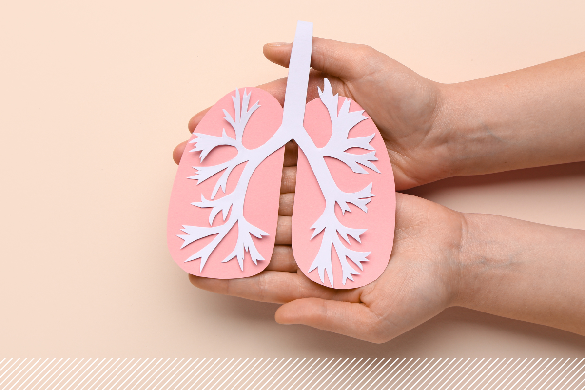 Workshop | Adem in, adem uit...